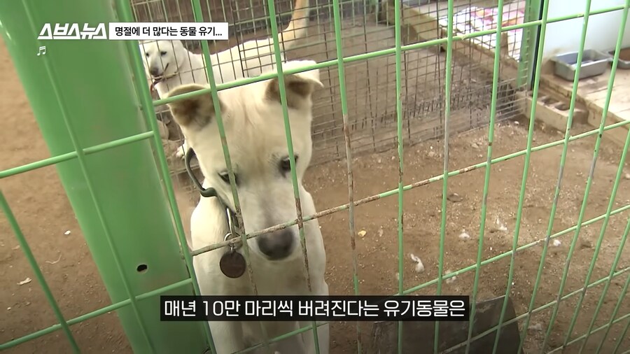 의외로 매년 명절 연휴마다 무너진다는 인류애_27.png