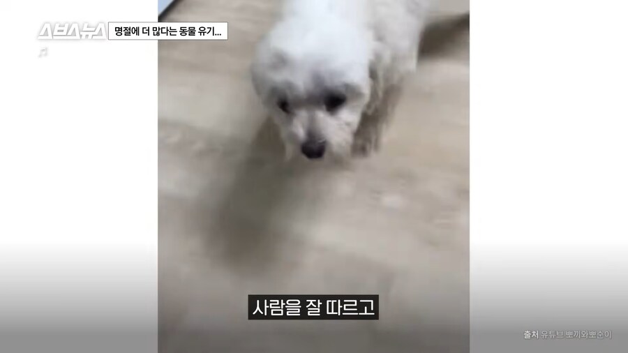 의외로 매년 명절 연휴마다 무너진다는 인류애_17.png