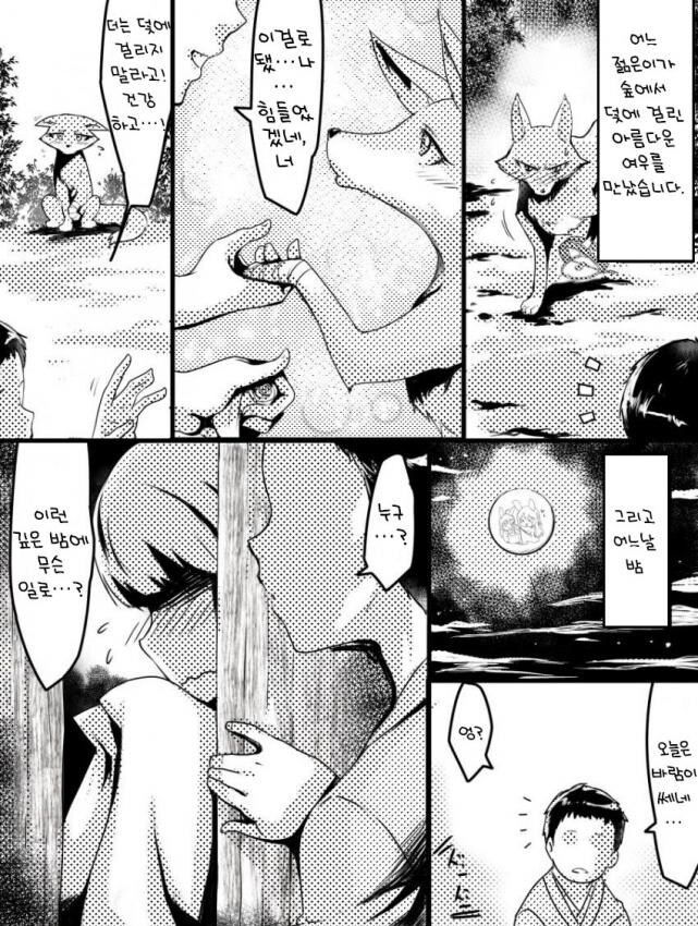[@] 은혜갚는 여우_1.jpg