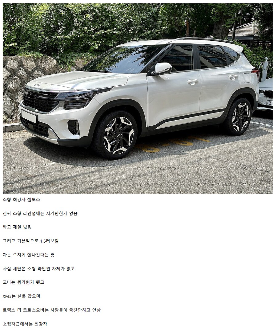 2025년 현재 자동차 체급별 최강자들.jpg_2.png