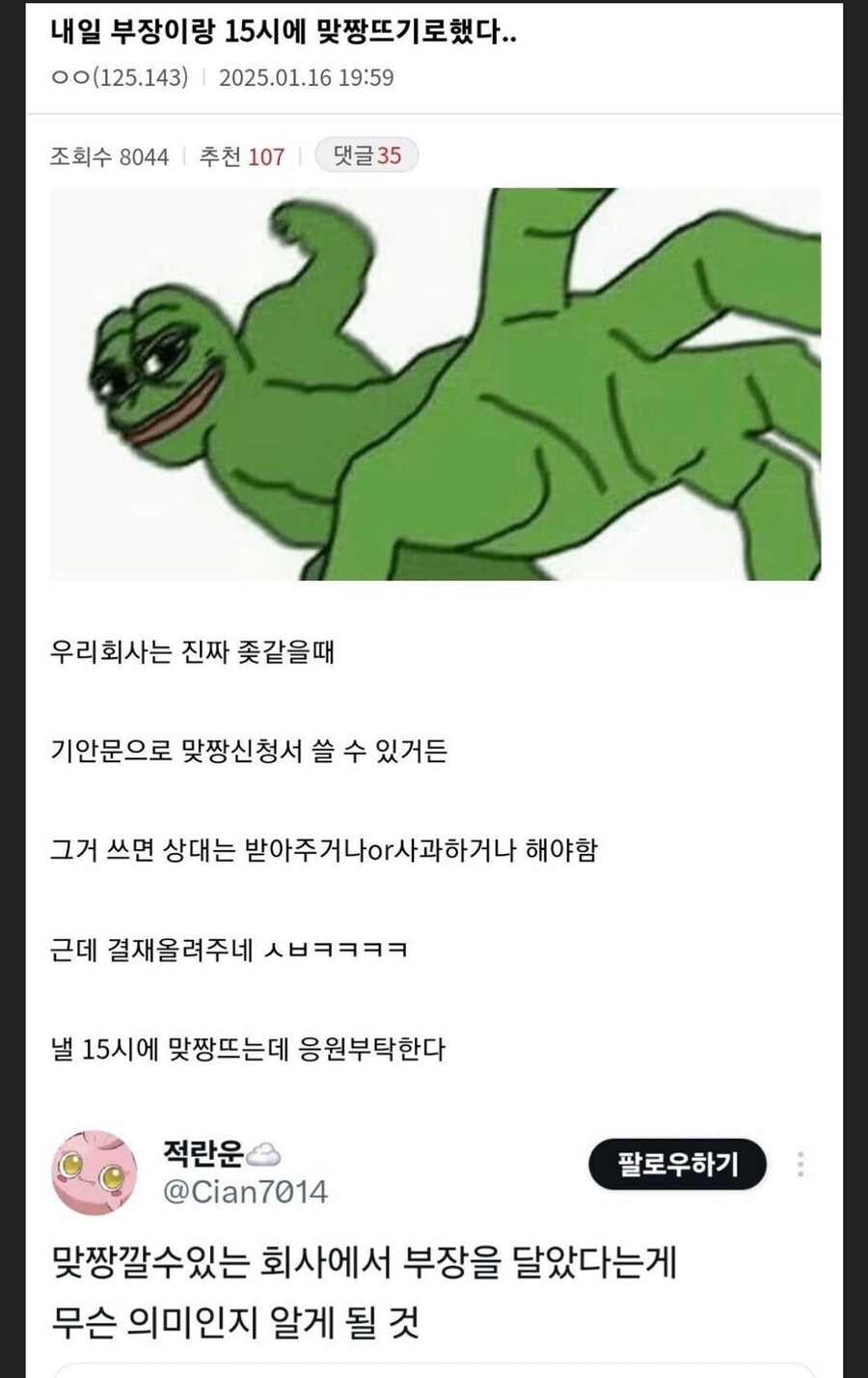 내일 부장이랑 15시에 맞짱뜨기로 했다..._1.jpg