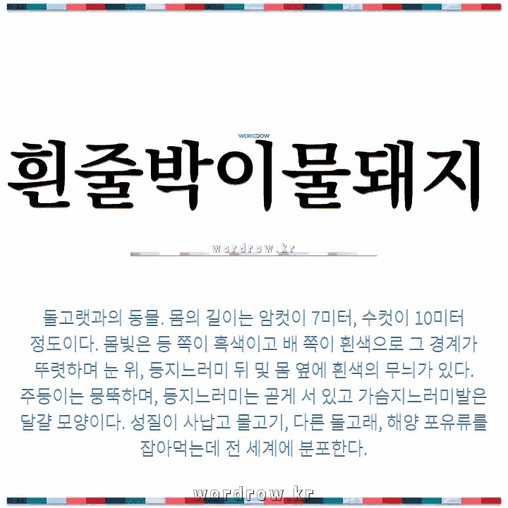 흰줄박이물돼지_1.png