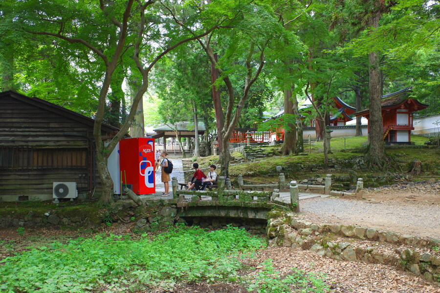 교토 너머, 근교 여행 2부 - 나라 (초스압)_53.jpg