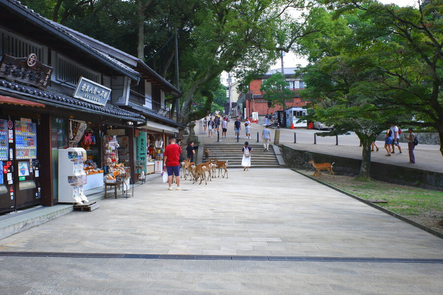교토 너머, 근교 여행 2부 - 나라 (초스압)_54.jpg
