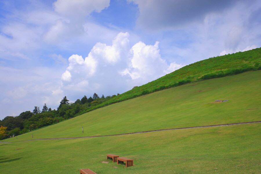 교토 너머, 근교 여행 2부 - 나라 (초스압)_57.jpg