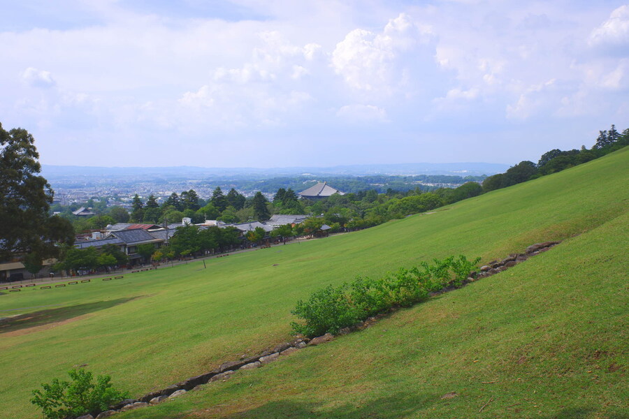 교토 너머, 근교 여행 2부 - 나라 (초스압)_61.jpg