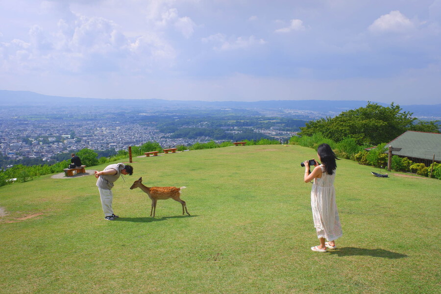 교토 너머, 근교 여행 2부 - 나라 (초스압)_69.jpg