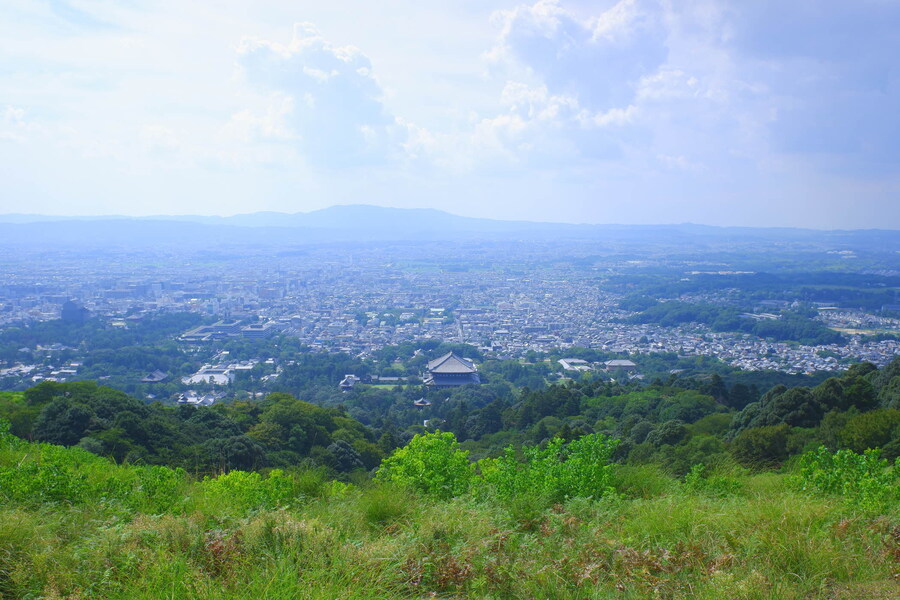 교토 너머, 근교 여행 2부 - 나라 (초스압)_70.jpg