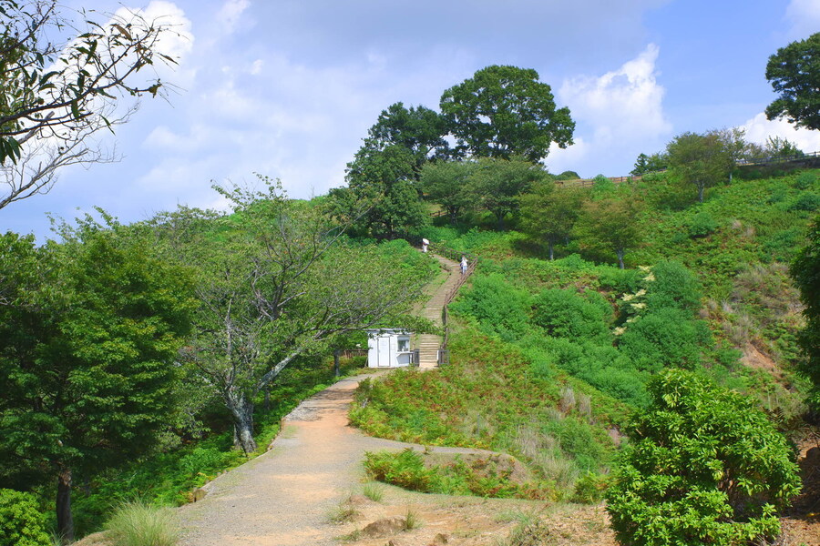 교토 너머, 근교 여행 2부 - 나라 (초스압)_75.jpg