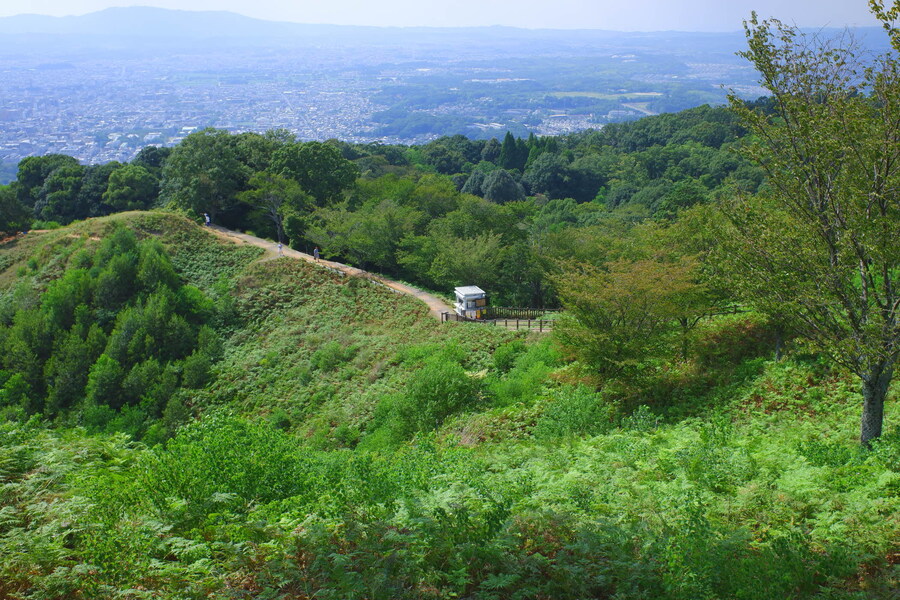 교토 너머, 근교 여행 2부 - 나라 (초스압)_76.jpg