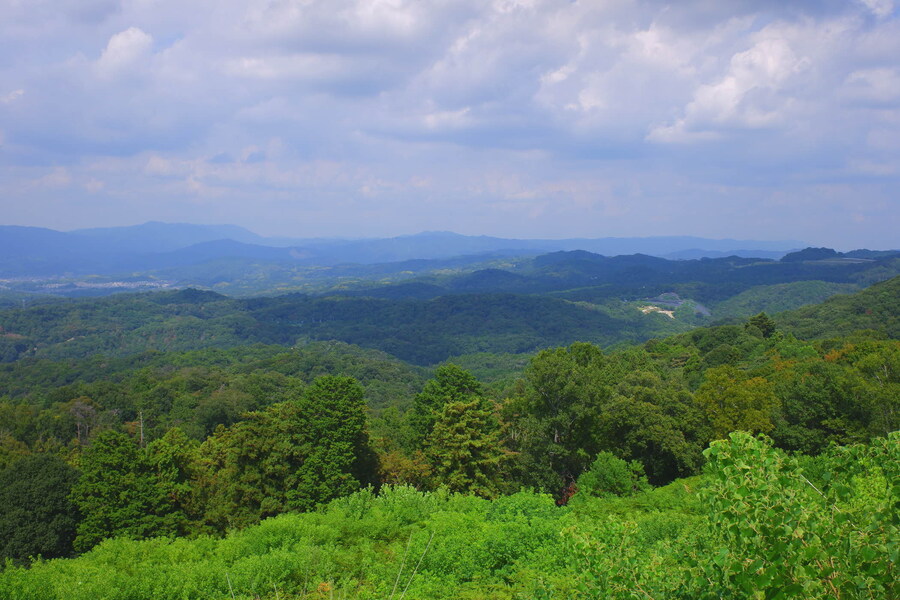 교토 너머, 근교 여행 2부 - 나라 (초스압)_79.jpg