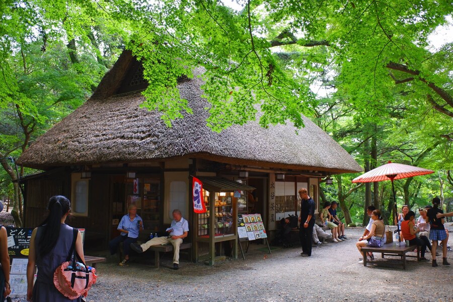 교토 너머, 근교 여행 2부 - 나라 (초스압)_86.jpg