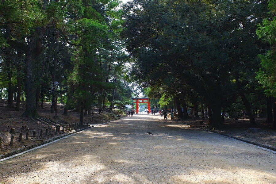 교토 너머, 근교 여행 2부 - 나라 (초스압)_94.jpg