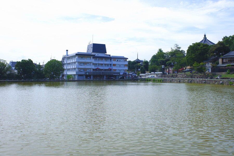 교토 너머, 근교 여행 2부 - 나라 (초스압)_95.jpg