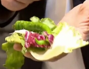 한국 쌈 문화를 전파하는 프렌차이즈 사업가_1.jpg