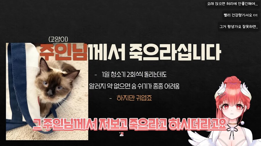 인방) 하지만 귀엽죠?_1.png
