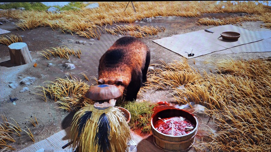 내 친구 곰 "시노"_4.jpg