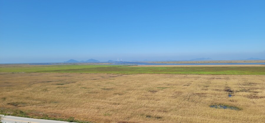 바아크 수리겸 곰소 까지 후기_5.jpg