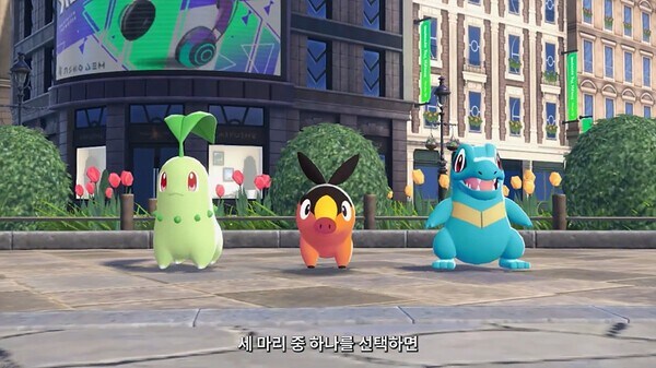 포켓몬) 스타팅 유출 떴는데 진짜 선넘었다_1.jpg