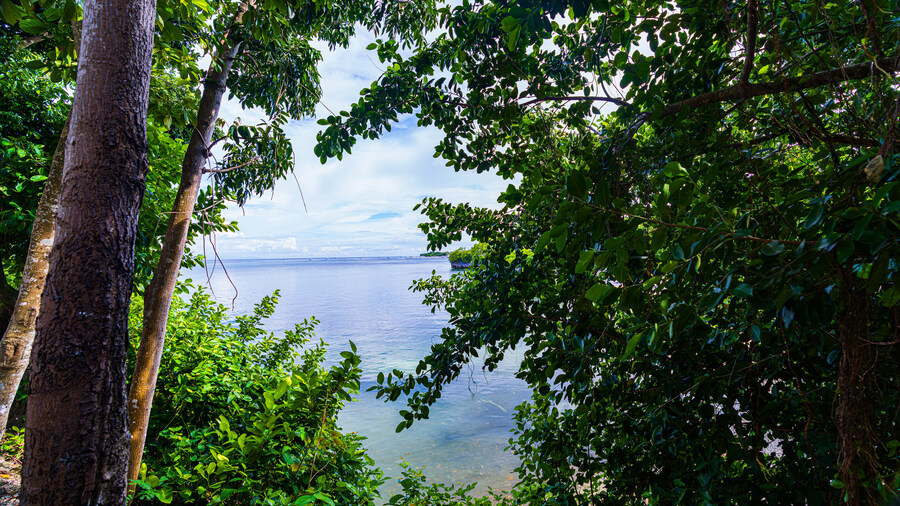 [스압]추석 연휴_말라파스쿠아 섬(With Paradive)_1_20.jpg