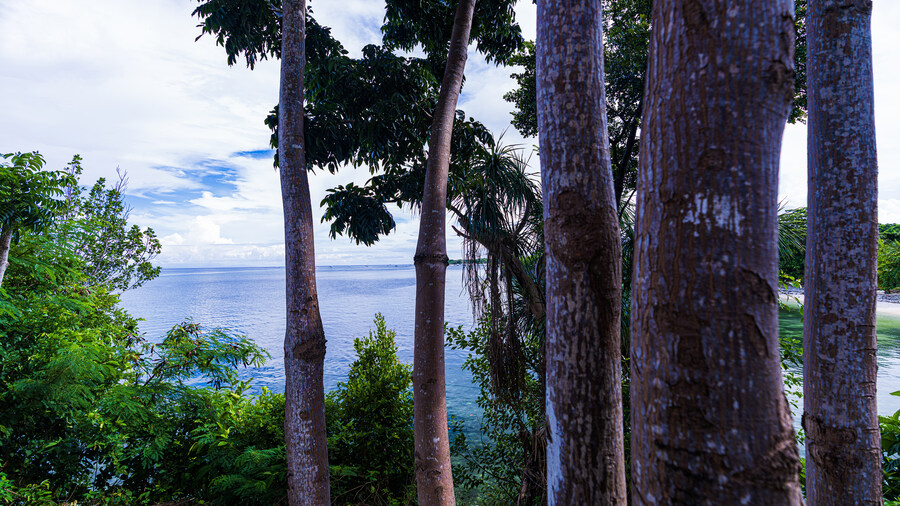 [스압]추석 연휴_말라파스쿠아 섬(With Paradive)_1_25.jpg