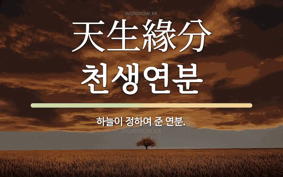 페이트)공식 작가에게 해준 나스의 조언_5.webp