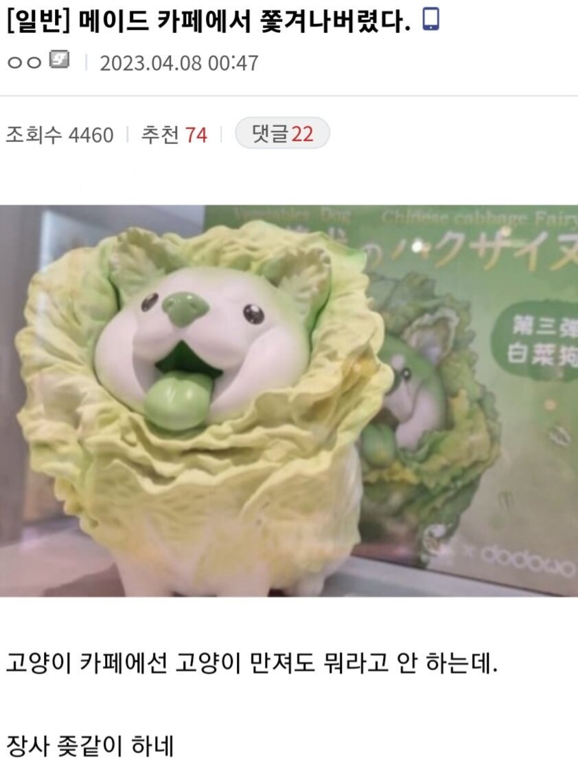 메이드 카페에서 쫓겨나버렸다._1.jpg