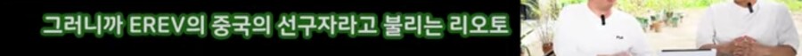 흉참한 중국 전기차 수명 근황_10.jpg