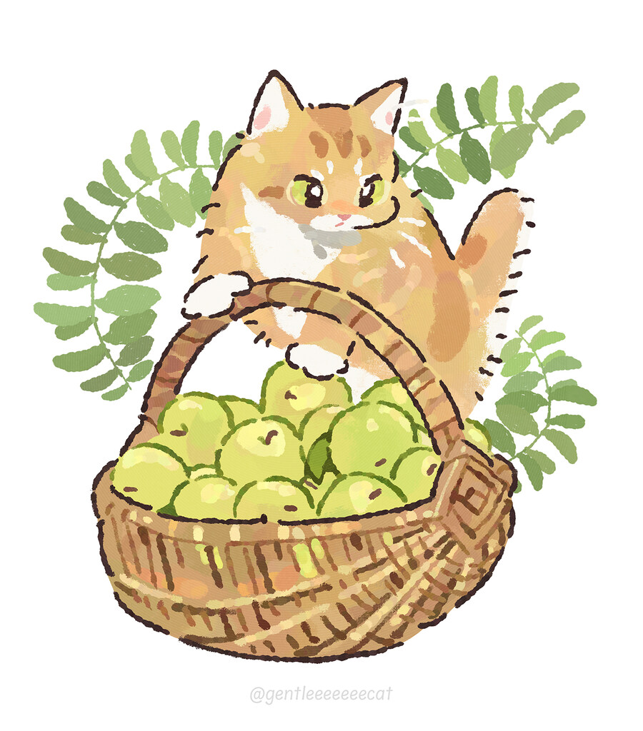 사과🍏 담는 고양이🐱_1.jpg