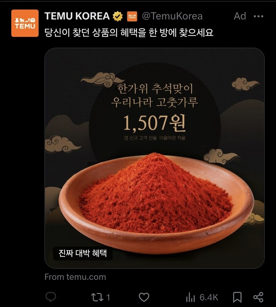 테무 광고_1.jpg