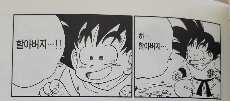 드래곤볼) 불속성 효자_2.jpg