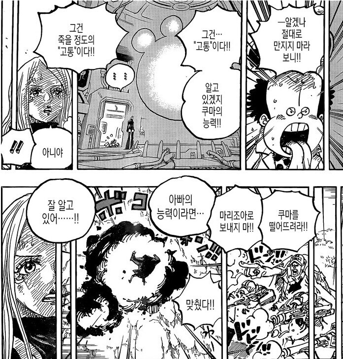 원피스) "보니야! 그거 보면 안돼! 고통스러울거야!"_1.jpg