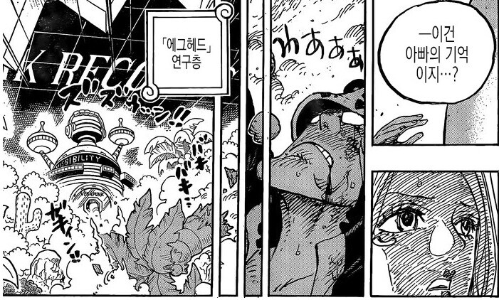 원피스) "보니야! 그거 보면 안돼! 고통스러울거야!"_2.jpg