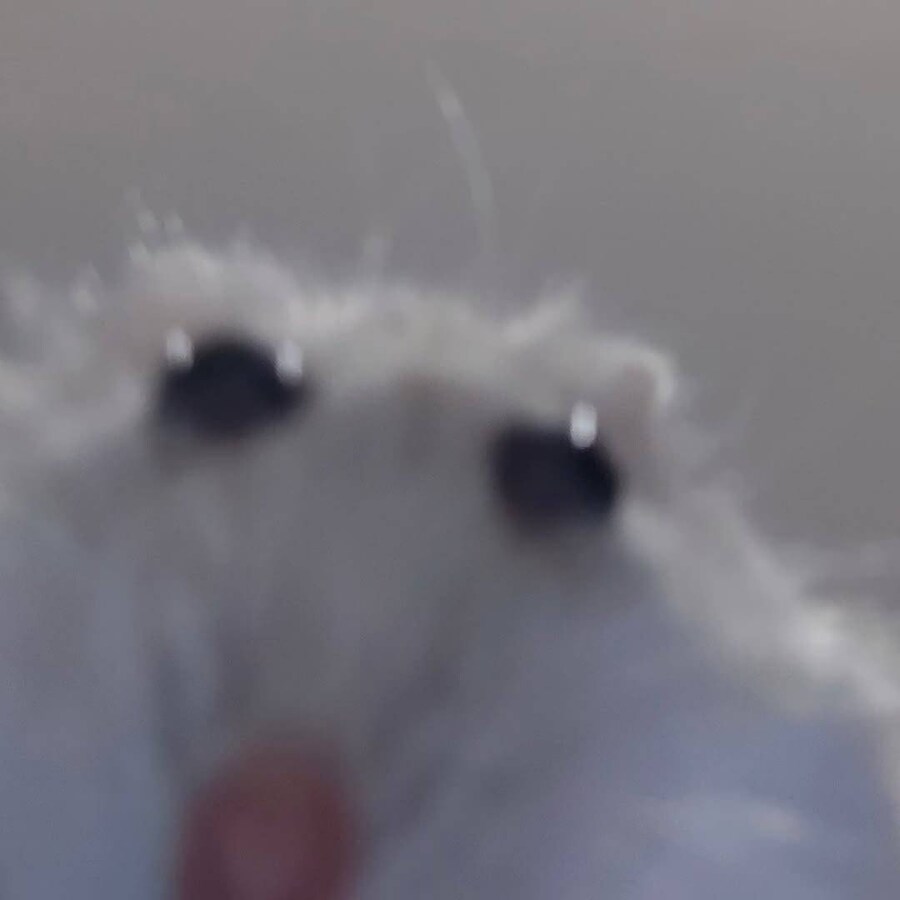 아우 피곤해_1.jpg