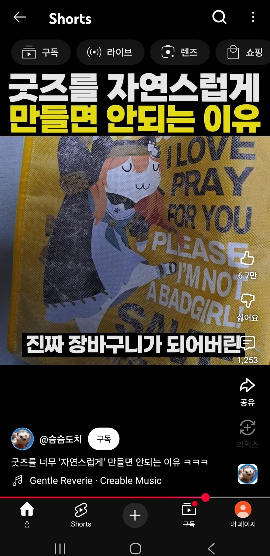 쇼츠가 퍼간 내가 산 이오치 마리 이마트가방_1.jpg