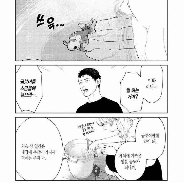 금붕어를 소금물에 넣는 이유.manwha_2.jpg