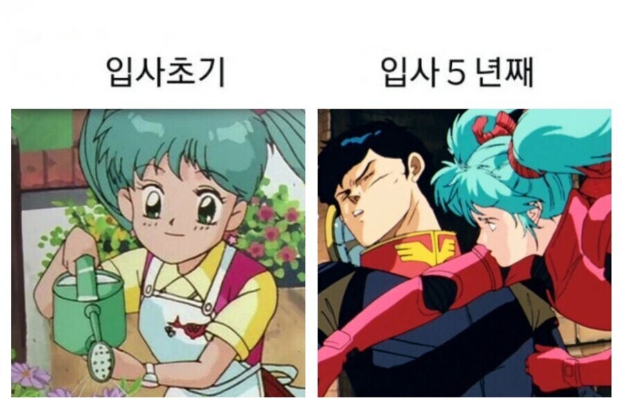 마법의 엔젤 스위트 민트-신기한 나라의 스위트 민트_1.jpg