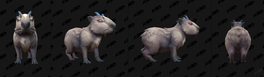 와우 한밤 카피바라 모델링_5.jpg