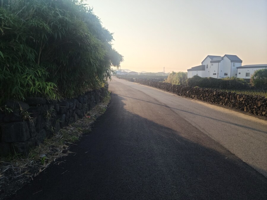 제주 환상 자전거길 234km 도보여행 2일차_5.jpg
