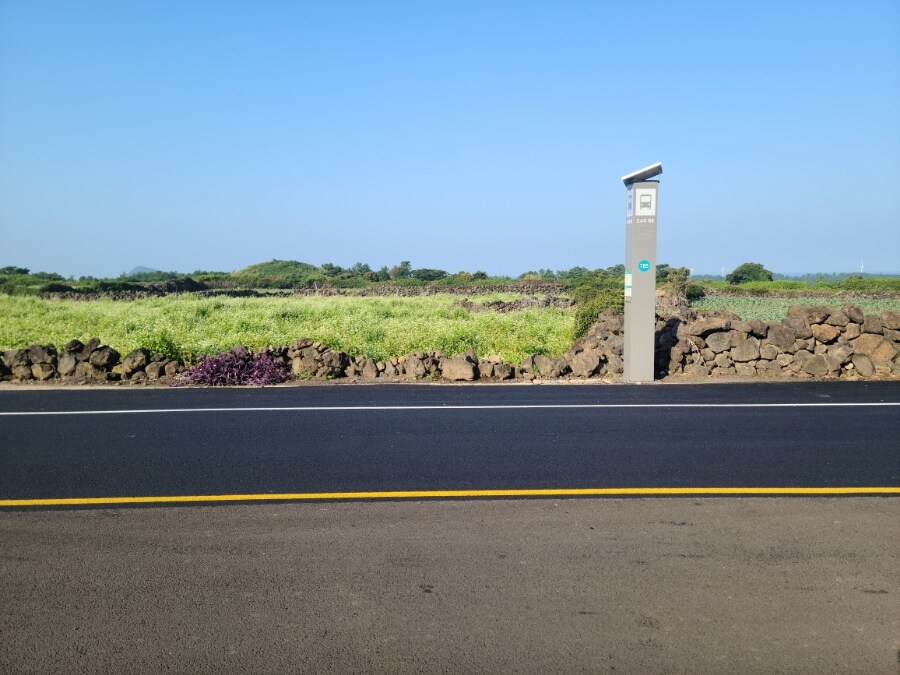 제주 환상 자전거길 234km 도보여행 2일차_6.jpg