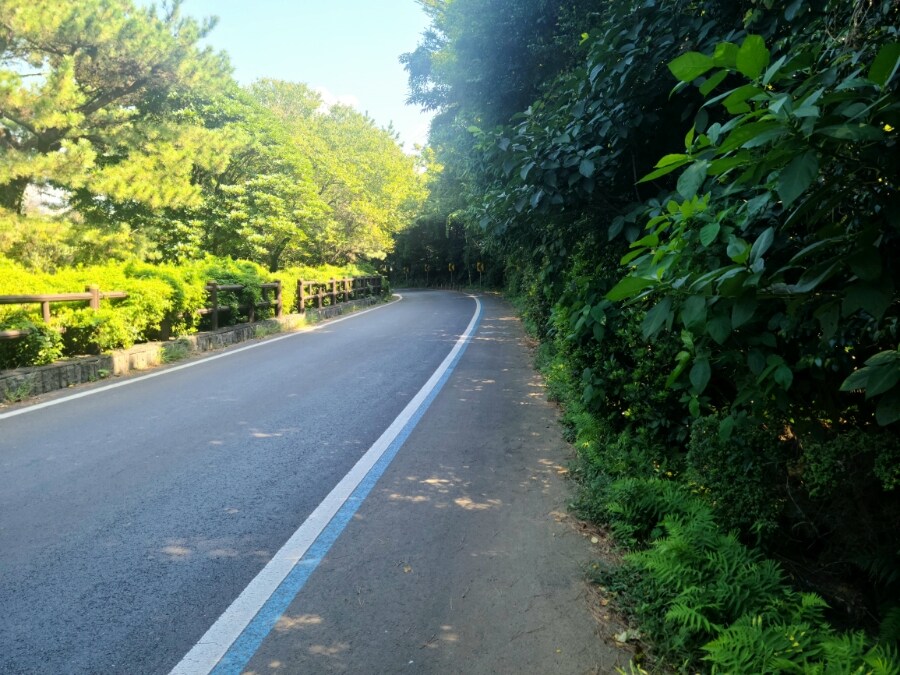 제주 환상 자전거길 234km 도보여행 3일차 -스압주의-_33.jpg