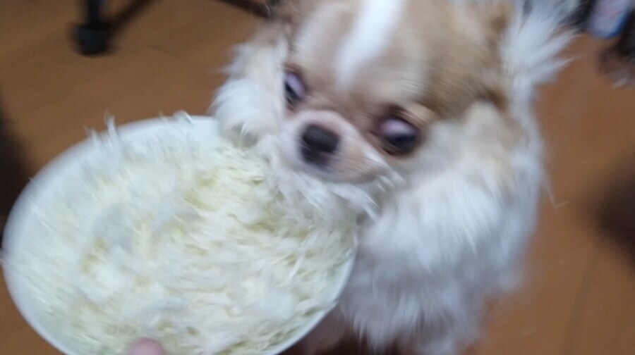 오늘 초밥 먹을까? 말까?_1.jpg