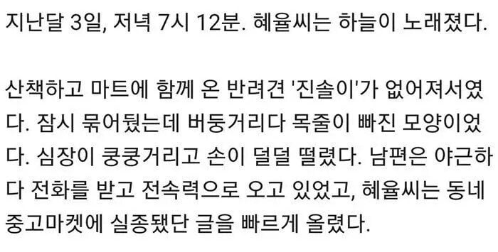 마트에서 장보다 사라진 강아지_1.jpg