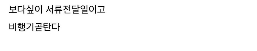 살면서 처음으로 해외에 나가는 디시인.jpg_4.jpg