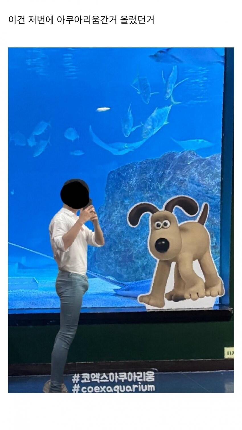 최근 패션갤에 등장한 레전드_2.jpg