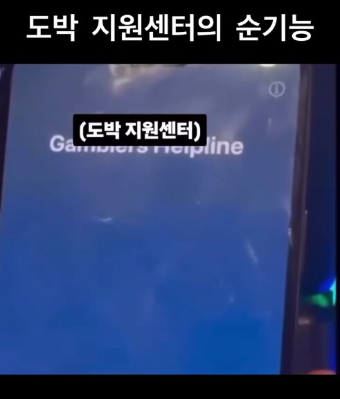전화찬스 쓰는 도박쟁이_1.png