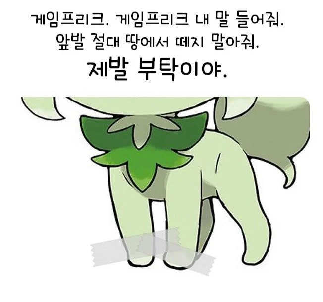 어느 스타팅포켓몬 나왔을때 반응_1.webp