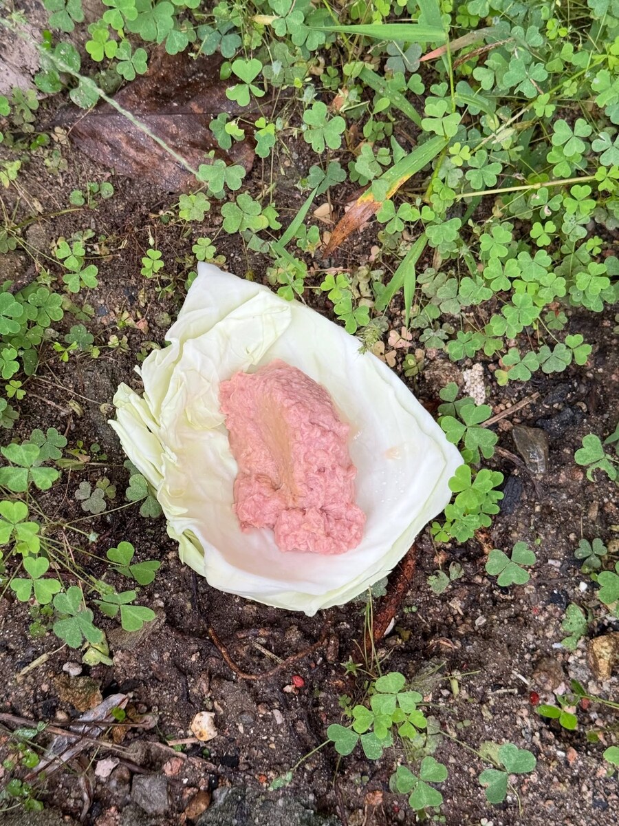 아이큐 140이 넘는 여성이 한다는 일.jpg_3.jpg