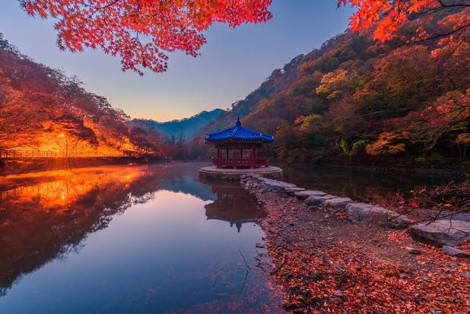 요즘 외국인들 사이에서 뜨고 있다는 대한민국 여행 유형.jpg_1.jpg