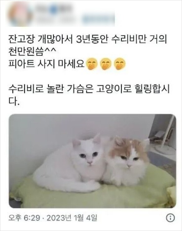 내 차 보더니 별로라 한 할아버지_3.png